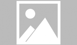 动漫表白语录,那些触动心弦的表白语录